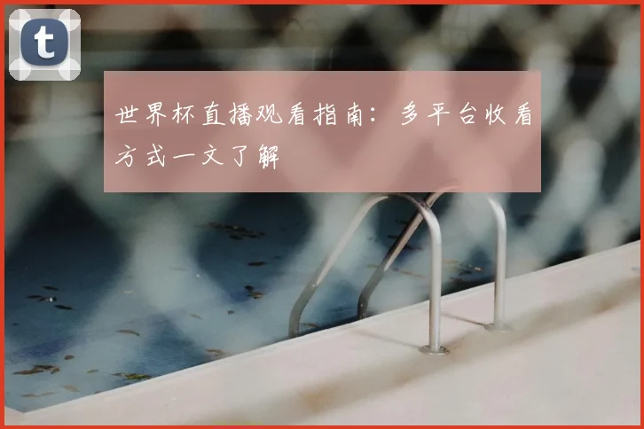 世界杯直播观看指南：多平台收看方式一文了解