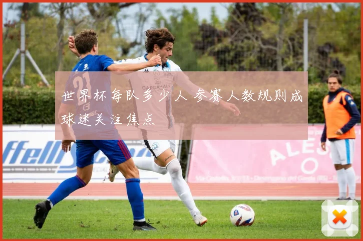 世界杯每队多少人 参赛人数规则成球迷关注焦点