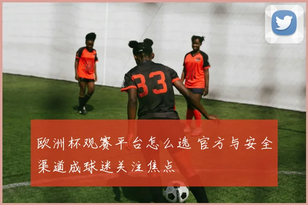 欧洲杯观赛平台怎么选 官方与安全渠道成球迷关注焦点