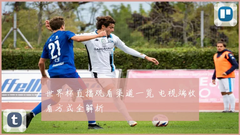 世界杯直播观看渠道一览 电视端收看方式全解析
